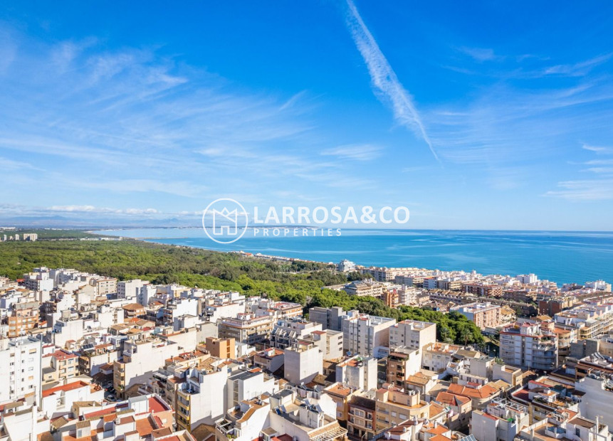 Obra Nueva - Apartamento - Guardamar del Segura