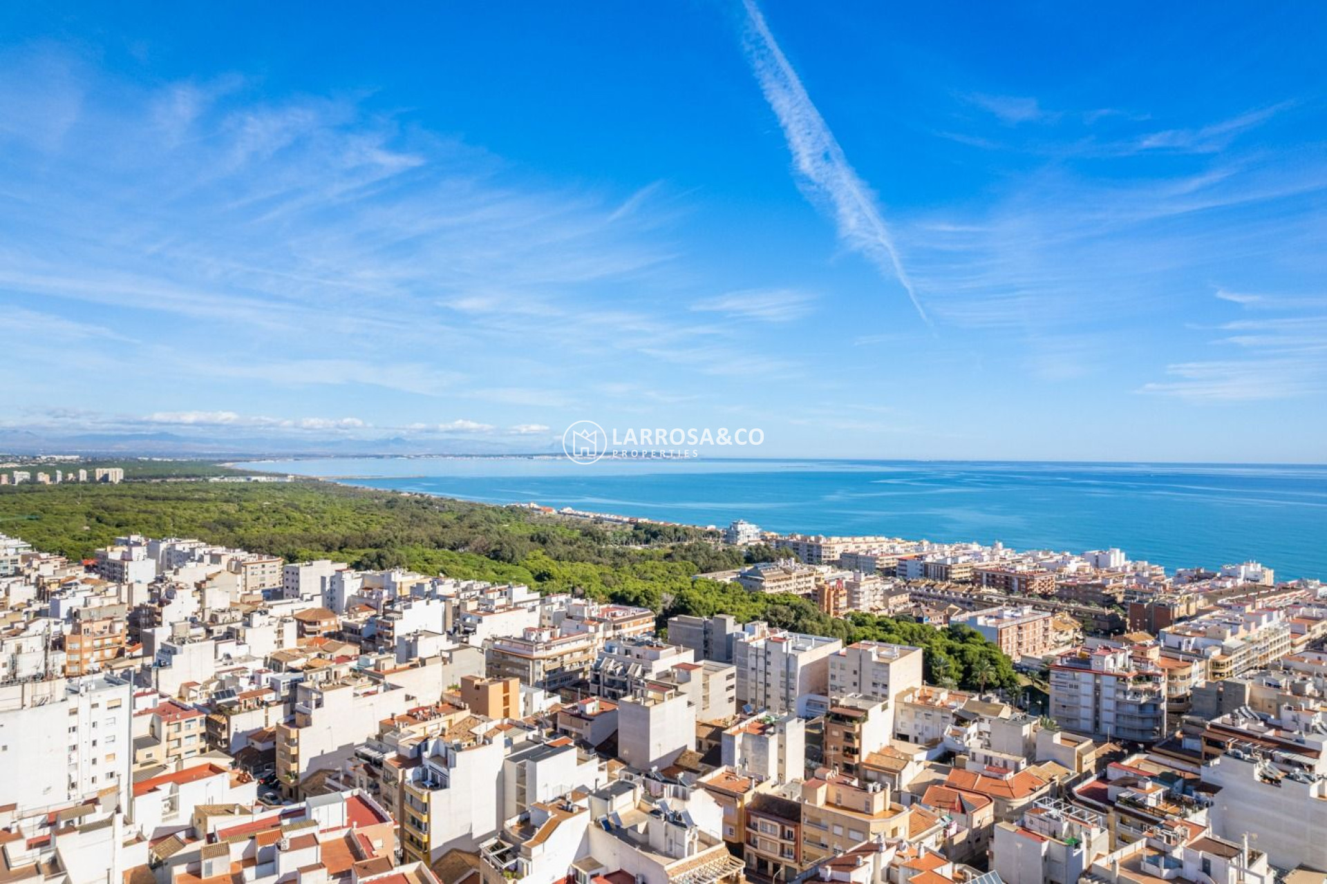 Obra Nueva - Apartamento - Guardamar del Segura