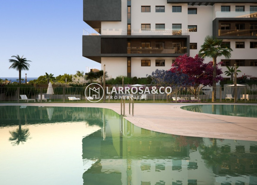 Obra Nueva - Apartamento - Orihuela costa - Campoamor