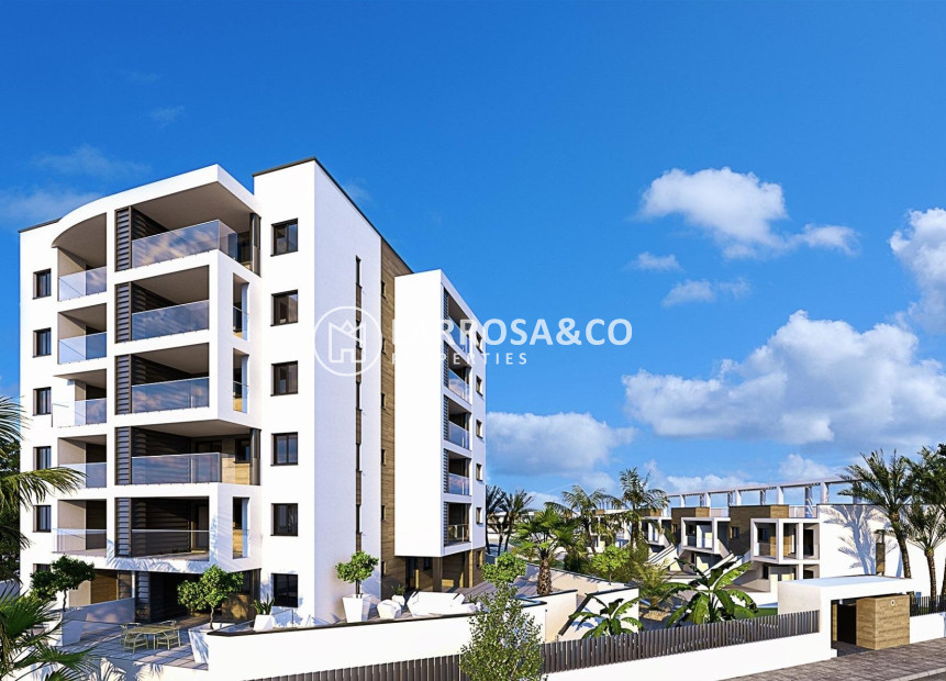 Obra Nueva - Apartamento - Pilar de la Horadada - Mil Palmeras