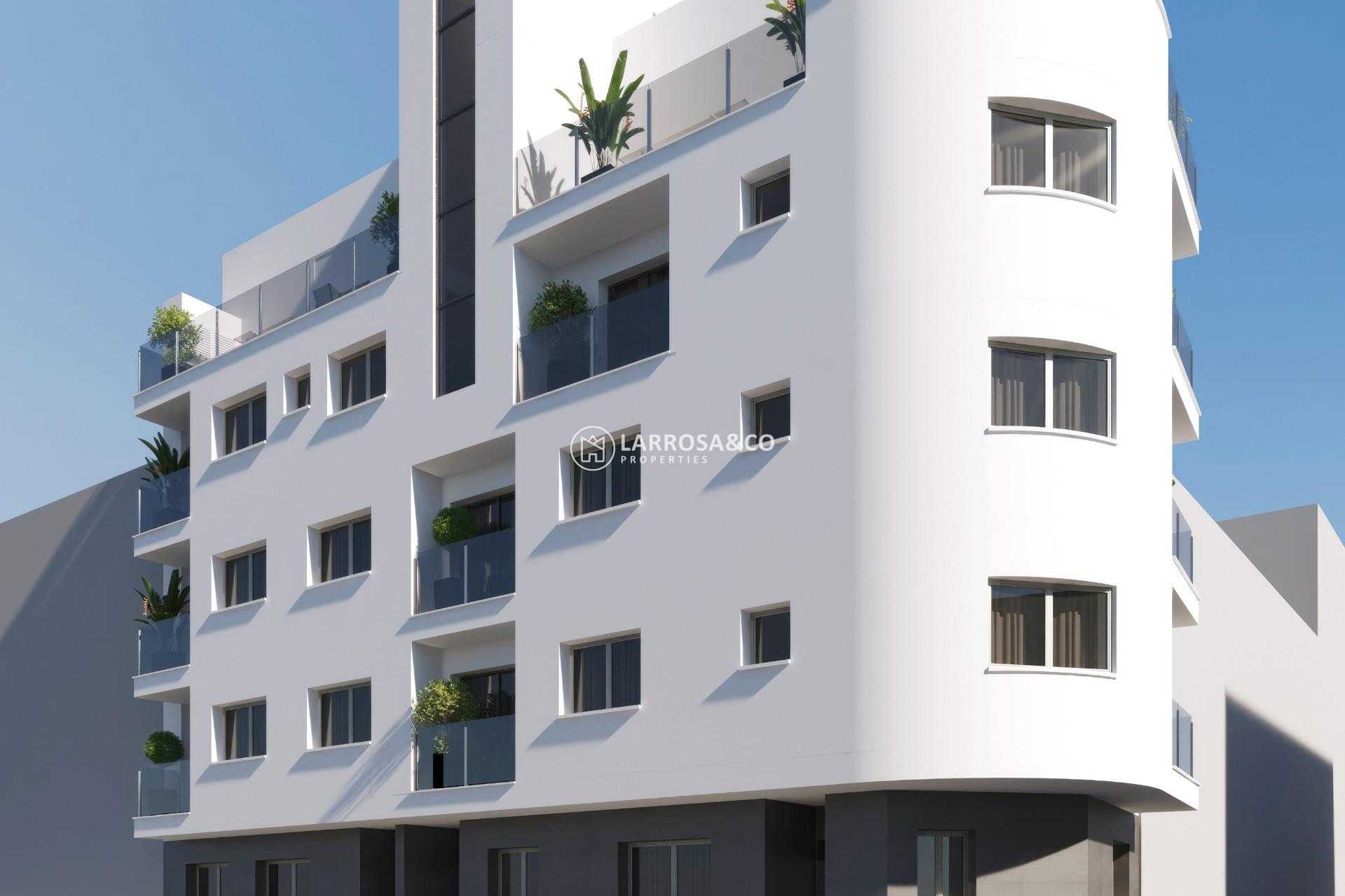 Obra Nueva - Apartamento - Torrevieja - Centro