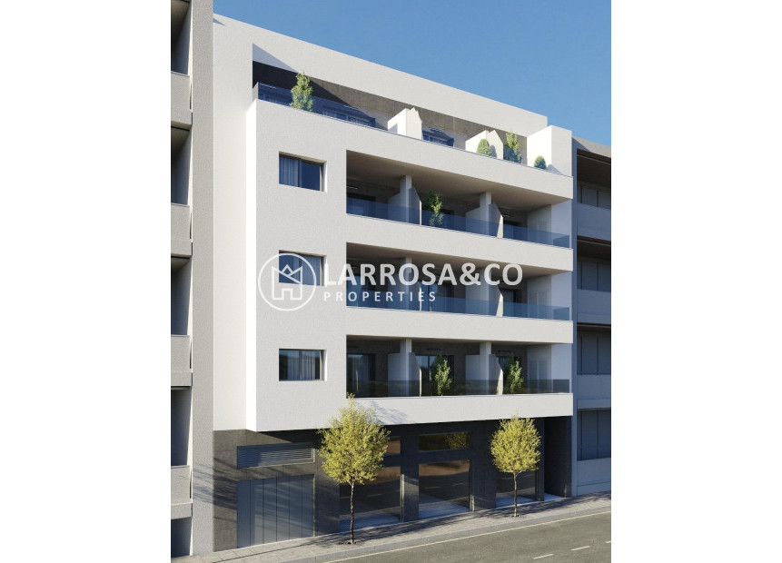 Obra Nueva - Apartamento - Torrevieja - Centro