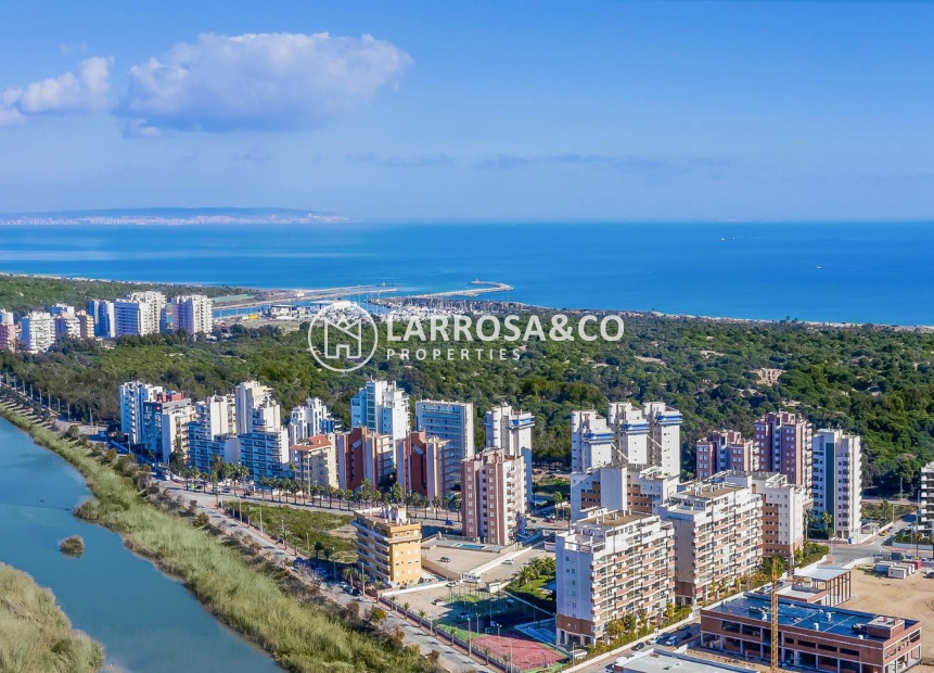 Obra Nueva - Atico - Guardamar del Segura - Avenida del Puerto