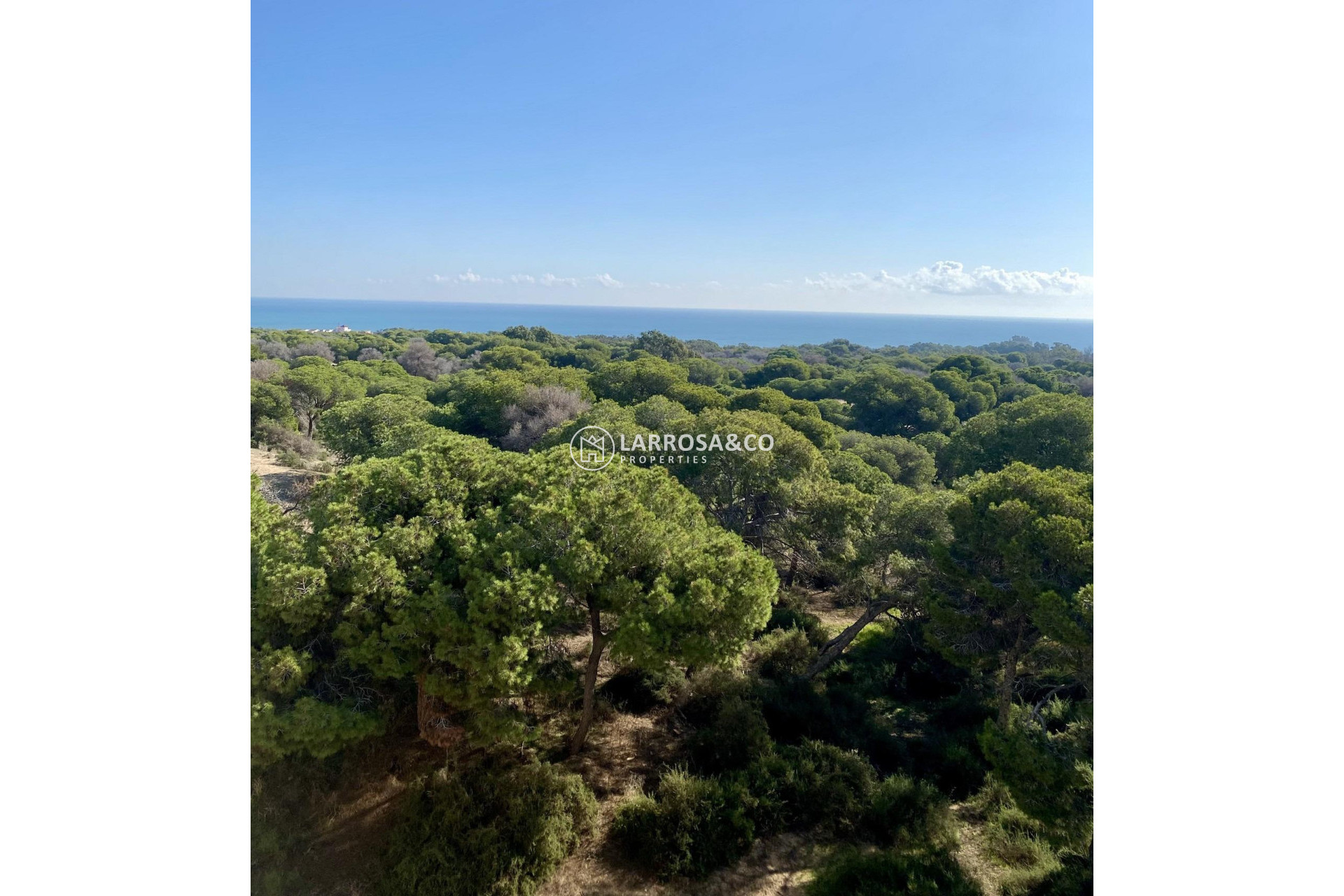 Obra Nueva - Atico - Guardamar del Segura - Centro