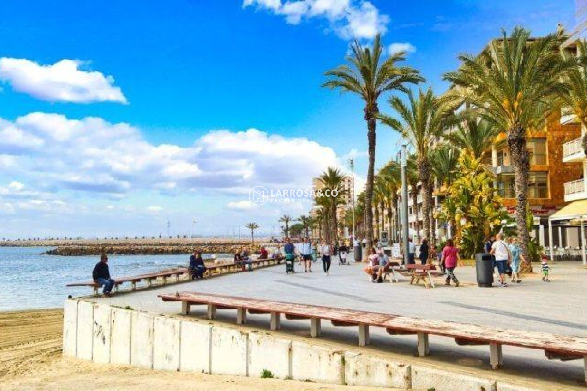 Obra Nueva - Atico - Torrevieja - Playa de El Cura