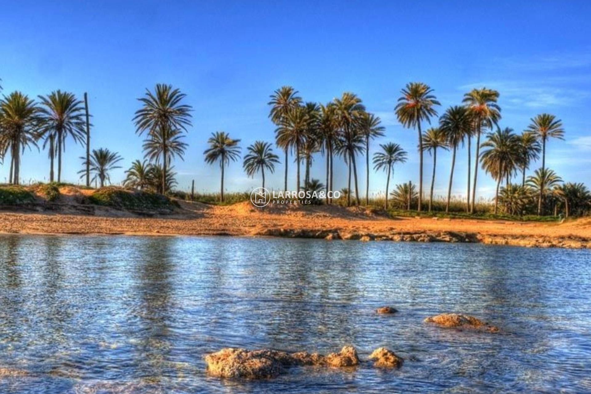 Obra Nueva - Atico - Torrevieja - Playa del cura