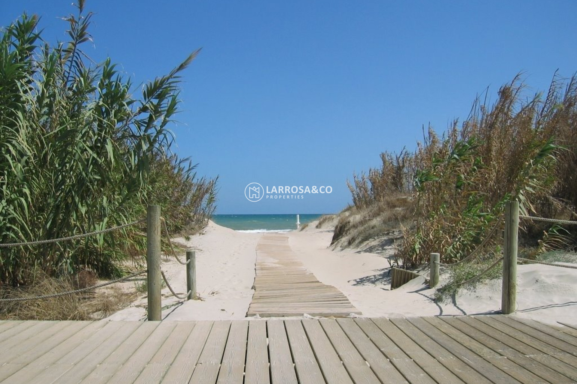 Obra Nueva - Bungalow - Pilar de la Horadada - La Torre de la Horadada