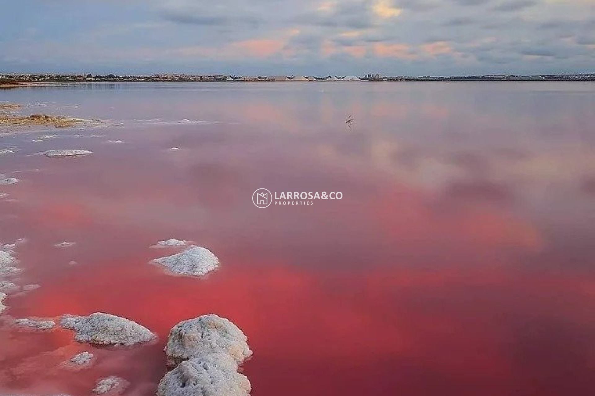 Obra Nueva - Bungalow - Torrevieja - Lago Jardín II