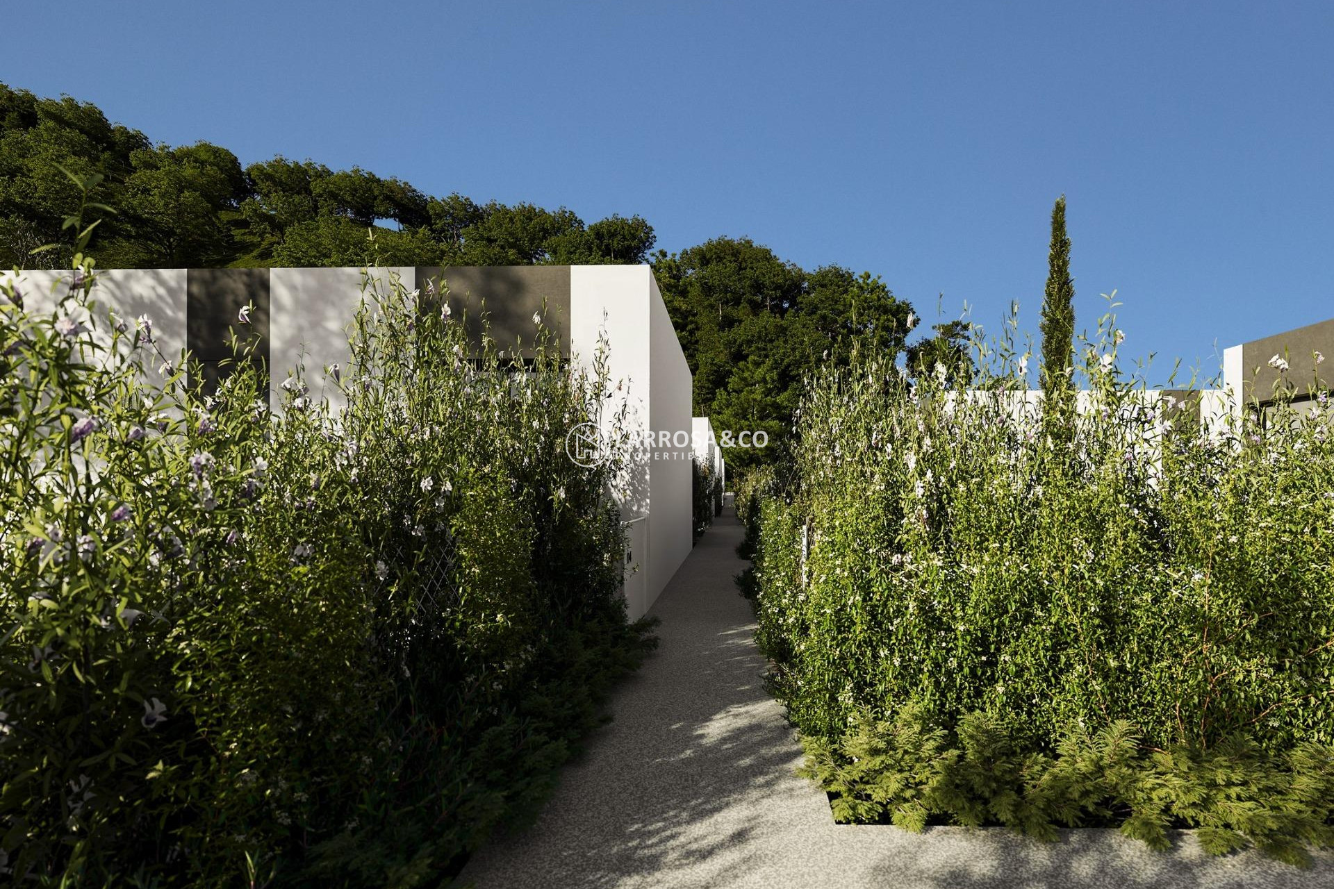 Obra Nueva - Chalet - Alfas del Pi - Barranc Fondo