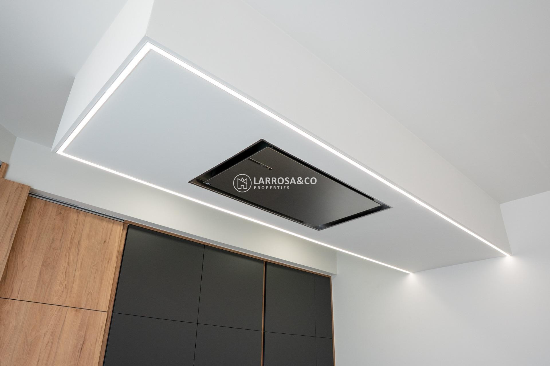 Obra Nueva - Chalet - Ciudad Quesada - Lo marabú