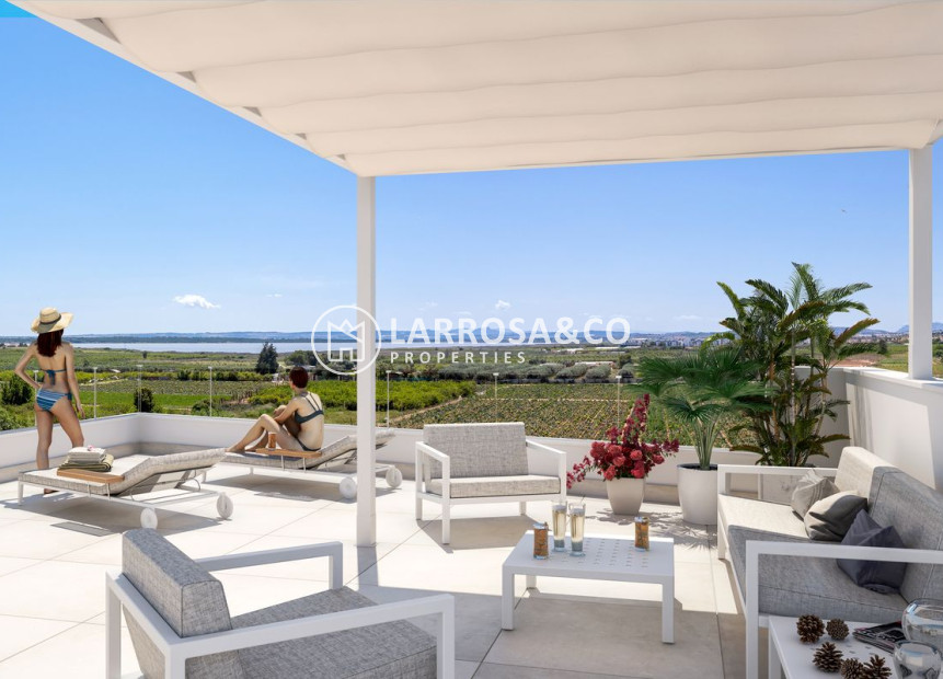 Obra Nueva - Chalet - Guardamar del Segura