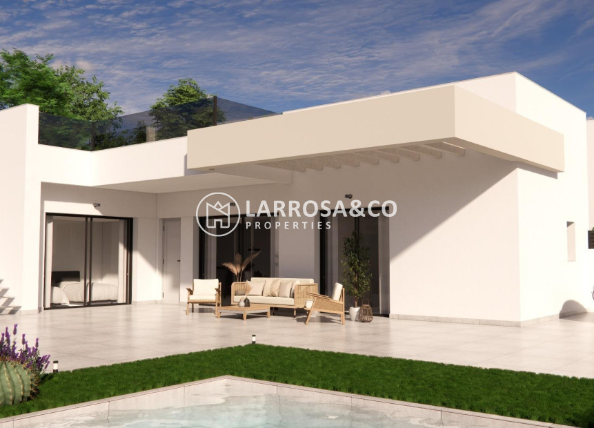 Obra Nueva - Chalet - Los Montesinos - La Herrada