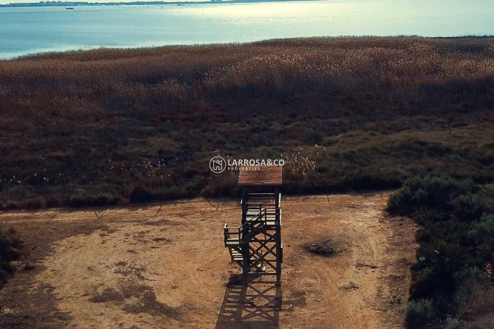 Obra Nueva - Chalet - Los Montesinos - La Herrada