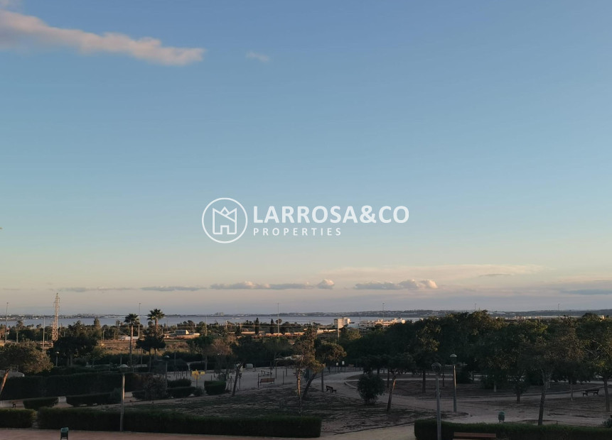 Obra Nueva - Chalet - Los Montesinos - La Herrada
