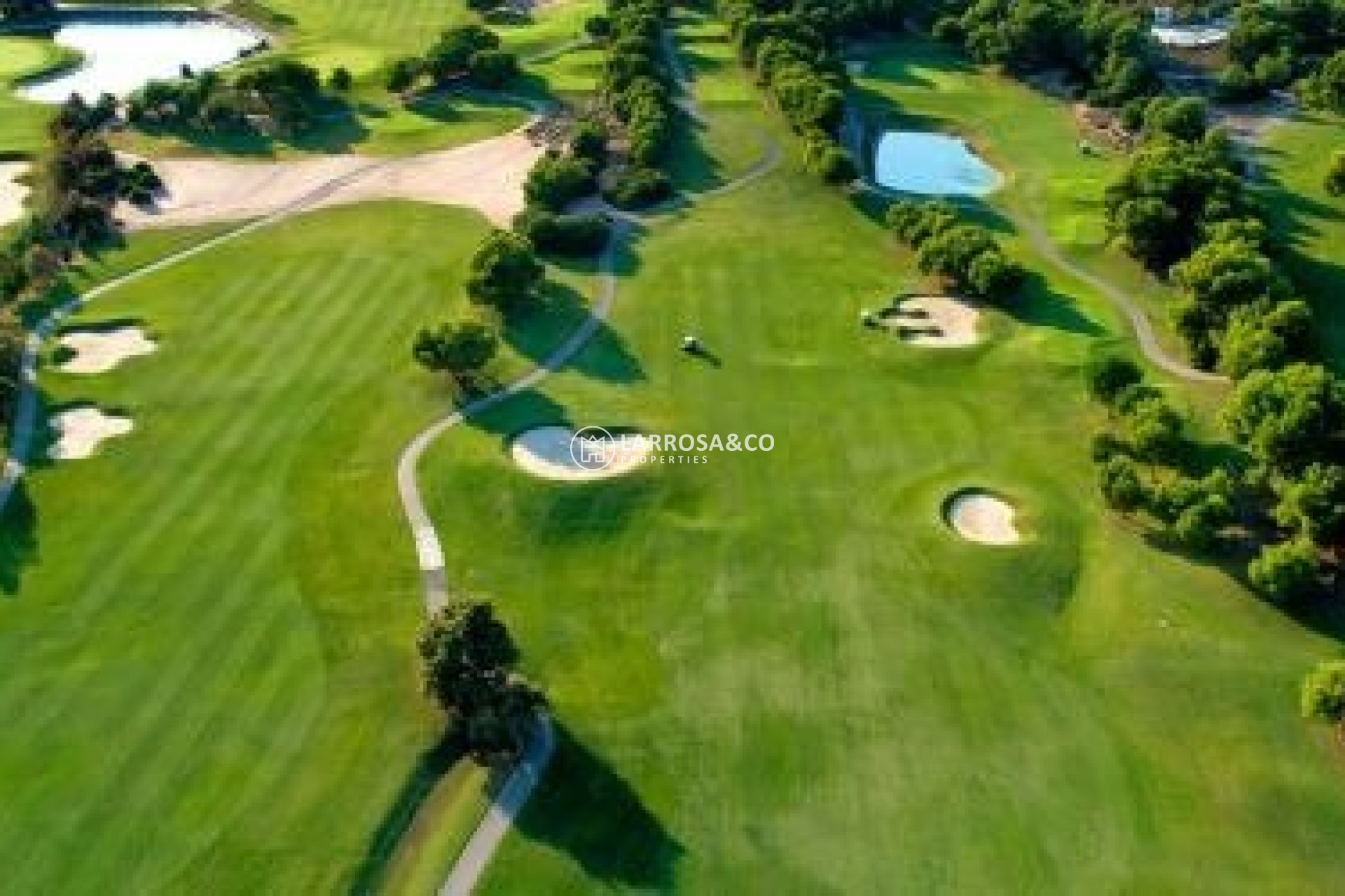 Obra Nueva - Chalet - Pilar de la Horadada - Lo Romero Golf