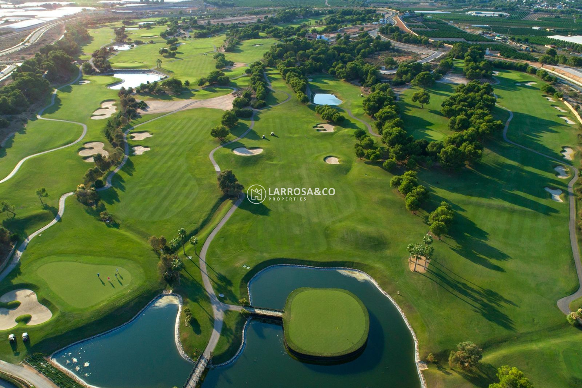 Obra Nueva - Chalet - Pilar de la Horadada - Lo Romero Golf