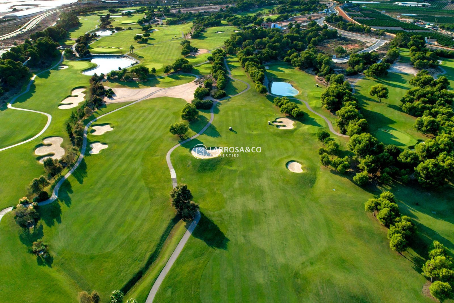 Obra Nueva - Chalet - Pilar de la Horadada - Lo Romero Golf