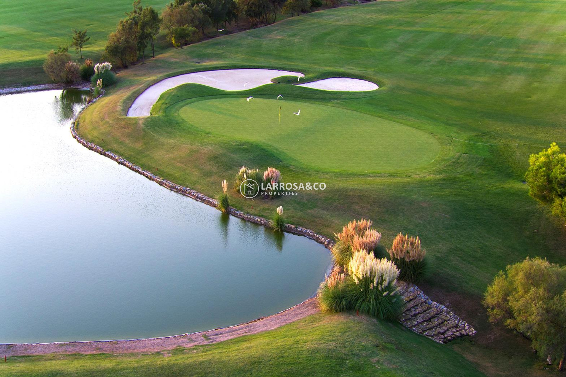 Obra Nueva - Chalet - Pilar de la Horadada - Lo Romero Golf