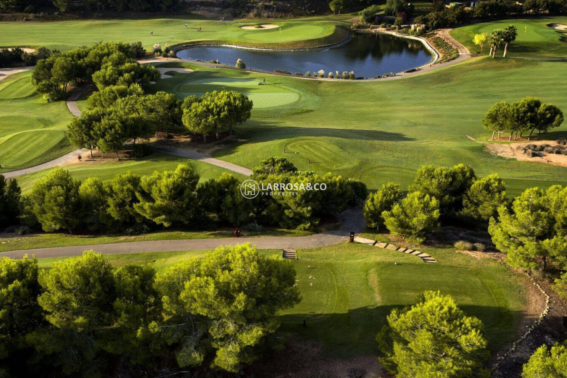 Obra Nueva - Chalet - Pilar de la Horadada - Lo Romero Golf