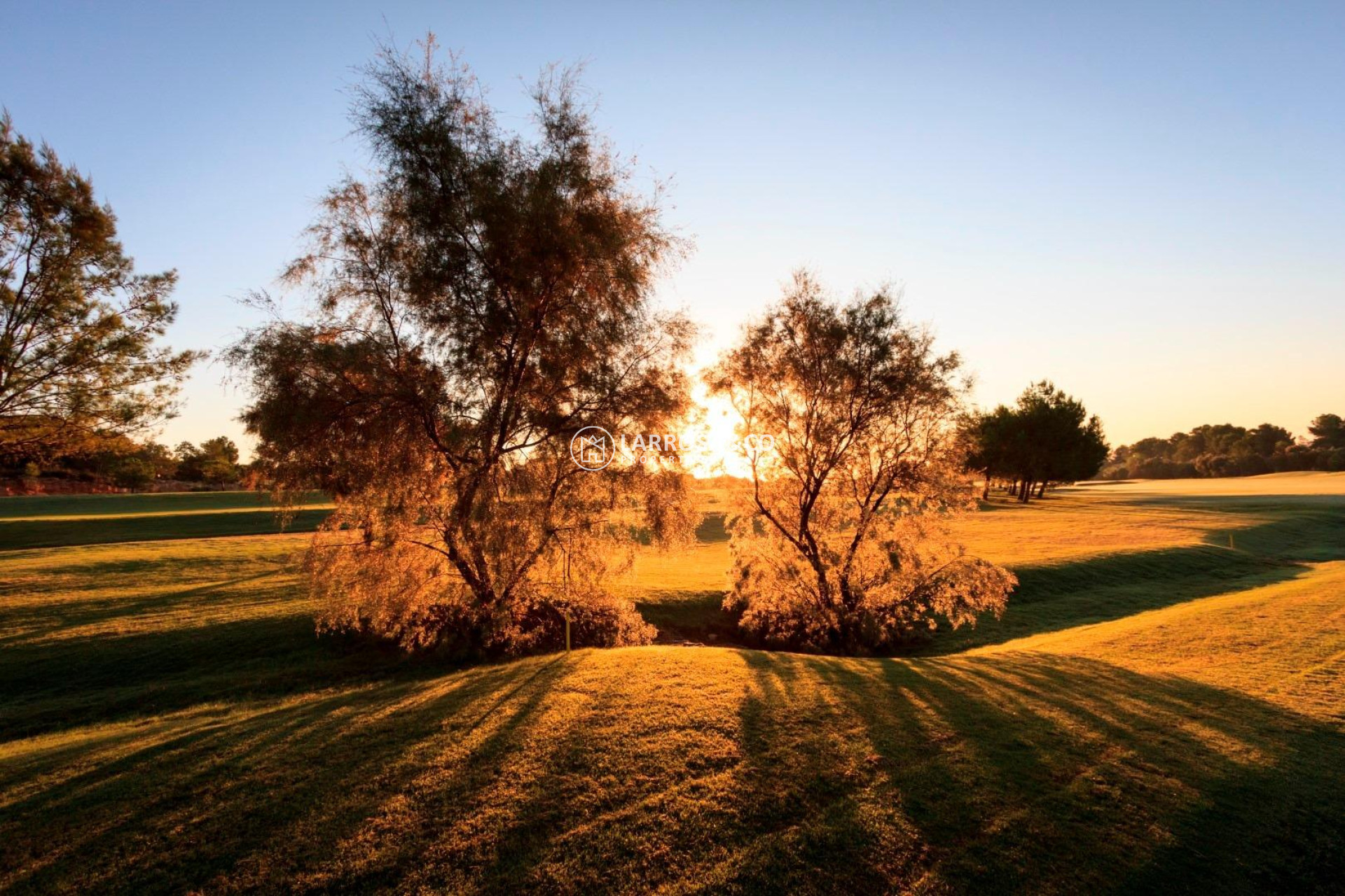 Obra Nueva - Chalet - Pilar de la Horadada - Lo Romero Golf