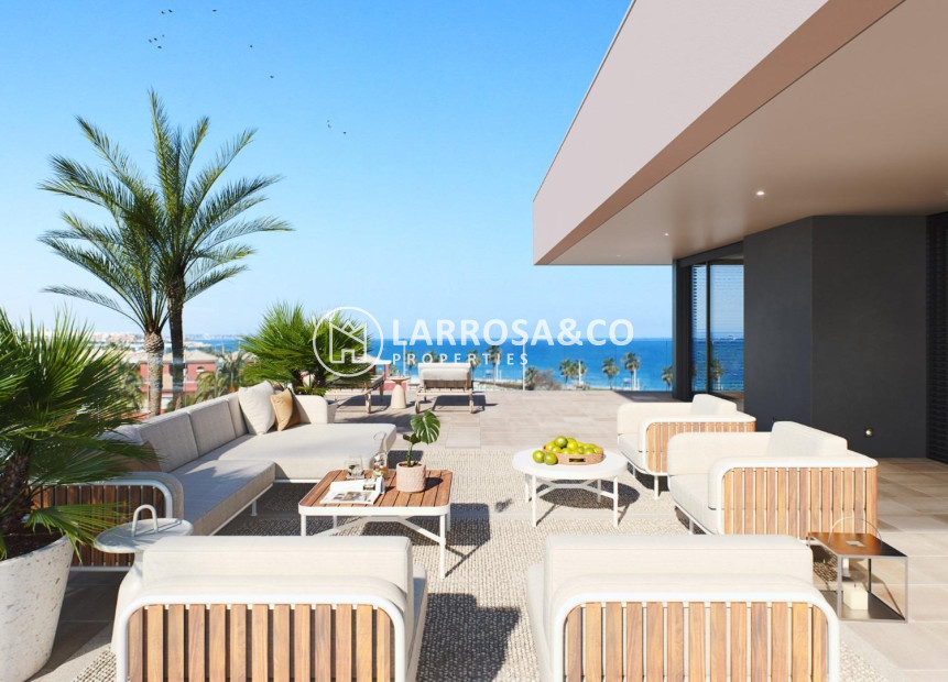 Obra Nueva - Chalet - Pilar de la Horadada - PILAR DE LA HORADADA