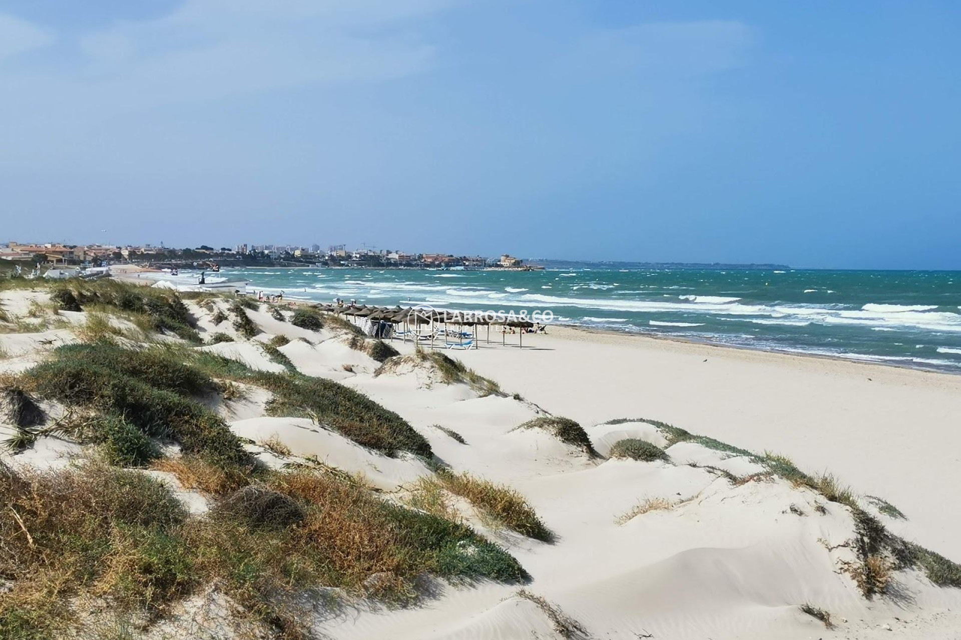 Obra Nueva - Chalet - Pilar de la Horadada - PILAR DE LA HORADADA