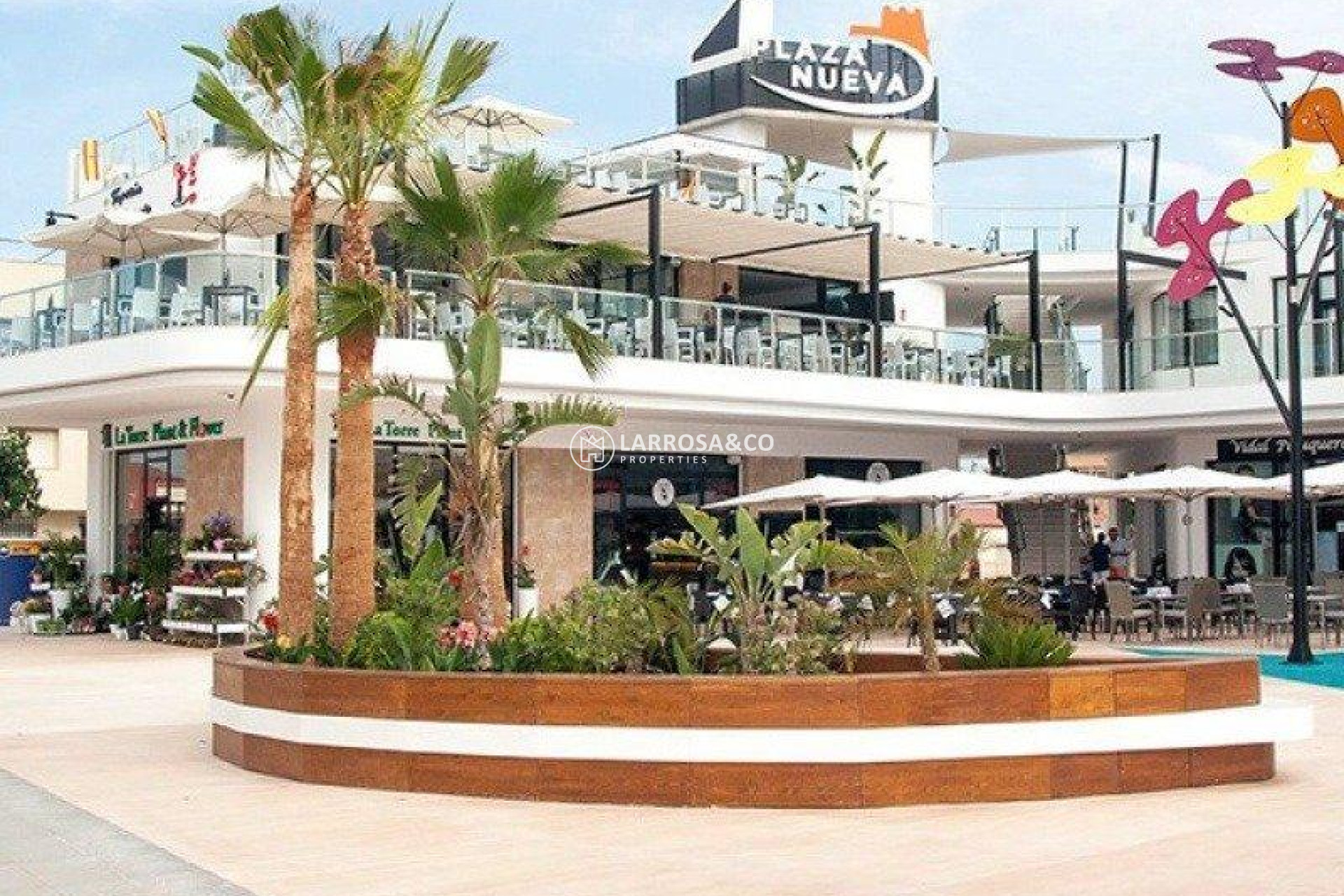 Obra Nueva - Chalet - Pilar de la Horadada - PILAR DE LA HORADADA