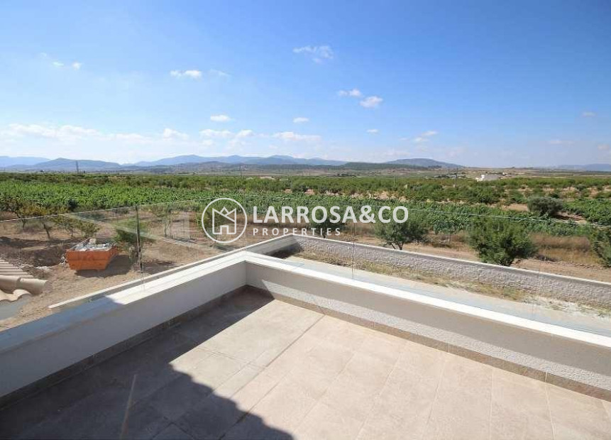 Obra Nueva - Chalet - Pinoso - Camino Del Prado