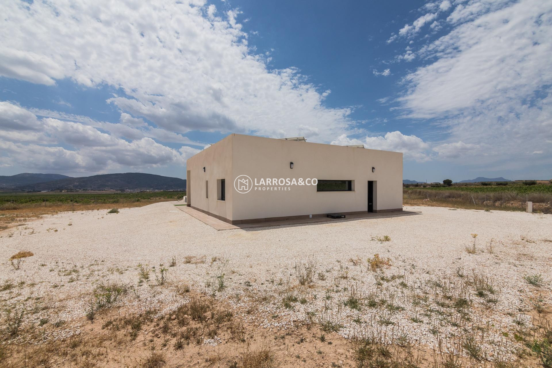 Obra Nueva - Chalet - Pinoso - Campo