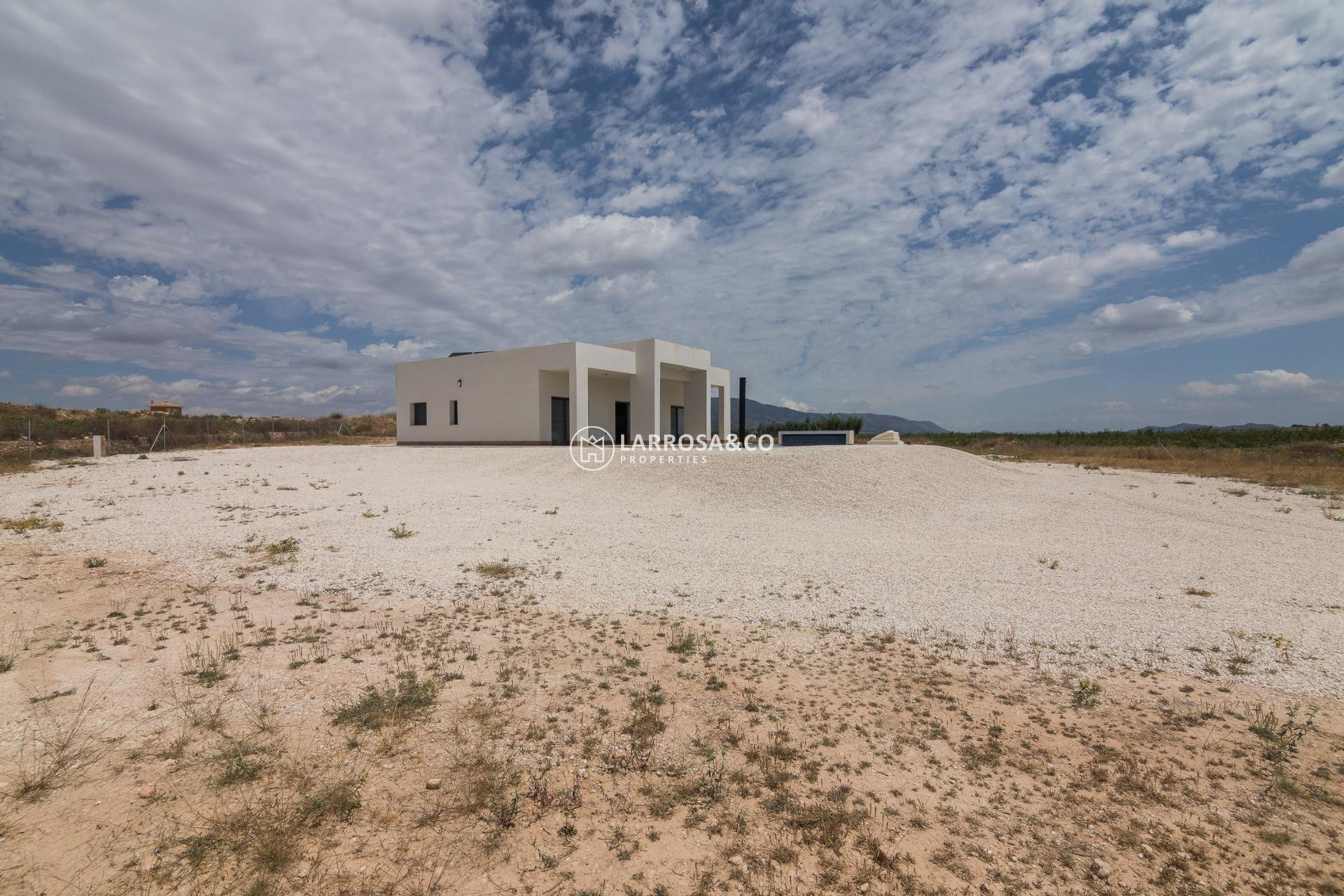 Obra Nueva - Chalet - Pinoso - Campo