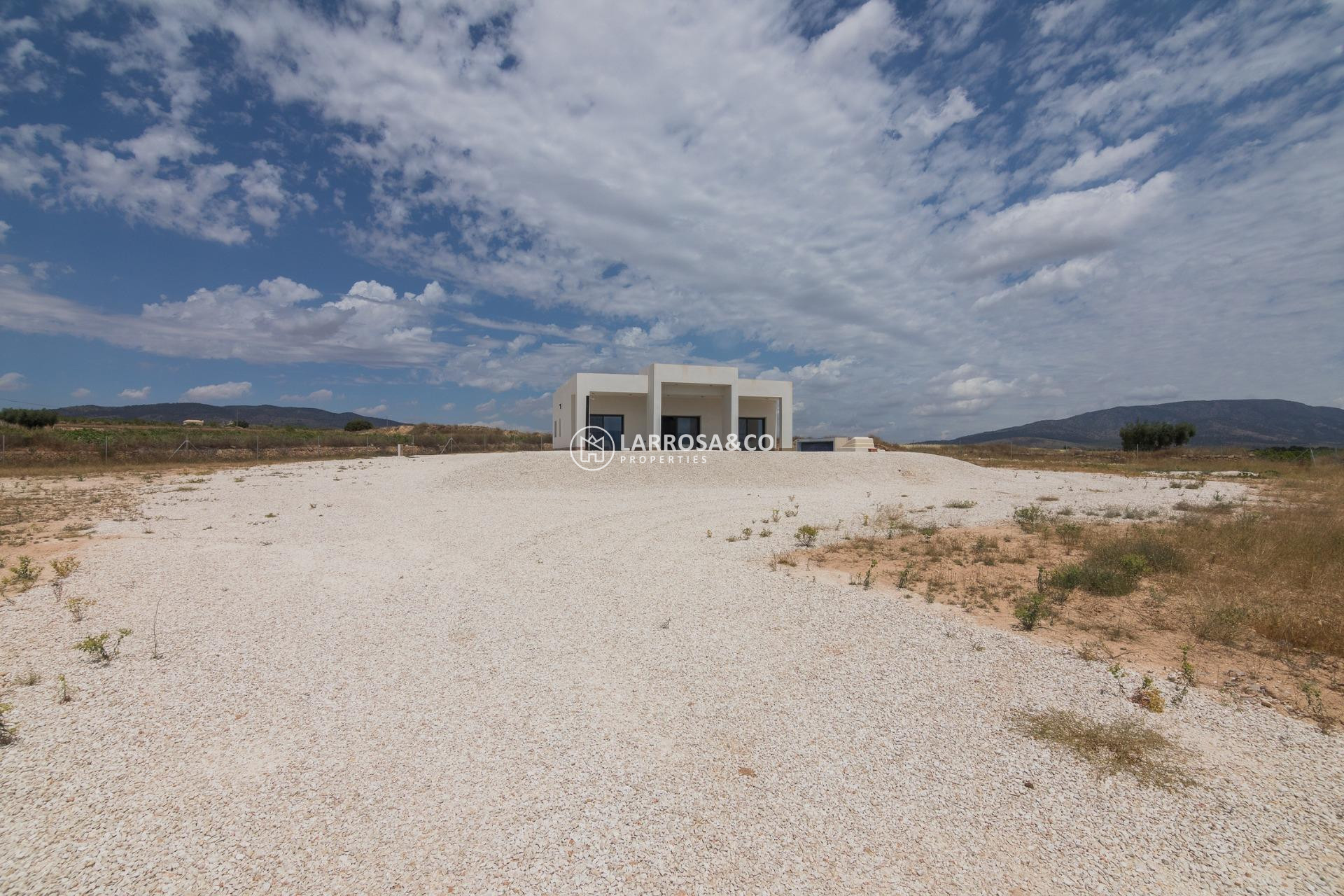 Obra Nueva - Chalet - Pinoso - Campo