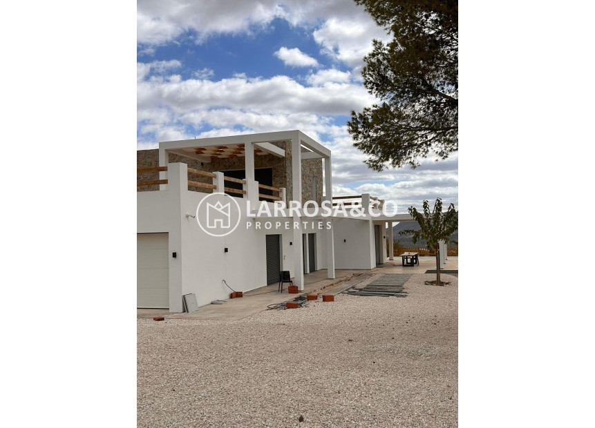 Obra Nueva - Chalet - Pinoso - Casas Pastor