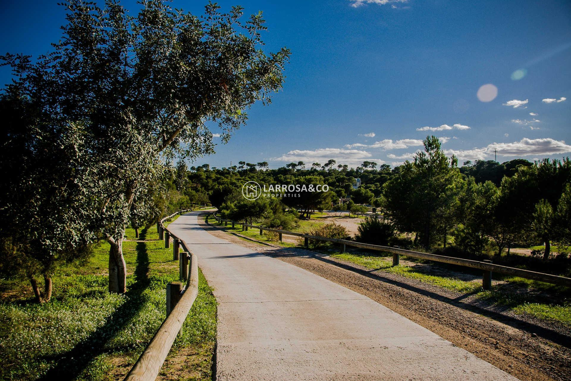 Obra Nueva - Chalet - Rojales - Doña Pena