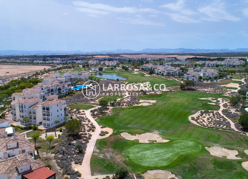 Obra Nueva - Chalet - Sucina - SUCINA