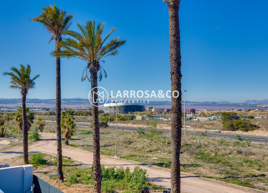 Obra Nueva - Chalet - Torrevieja - Sector 25