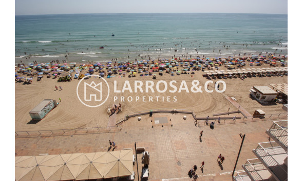 Penthouse  - A Vendre - Guardamar del Segura - Playa de la Roqueta