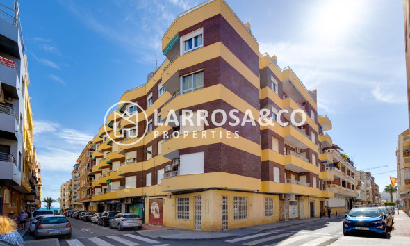 Penthouse  - A Vendre - Torrevieja - Paseo maritimo