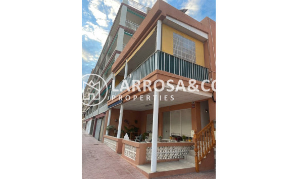Penthouse  - Herverkoop - Guardamar del Segura - Guardamar Playa