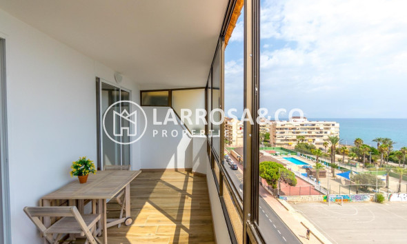 Penthouse  - Herverkoop - Torrevieja - Cabo cervera