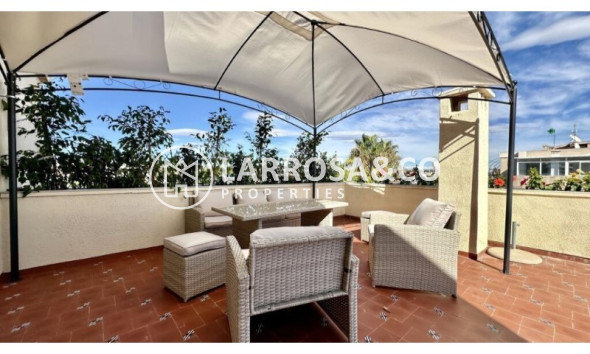 Penthouse  - Herverkoop - Torrevieja - Costa Blanca