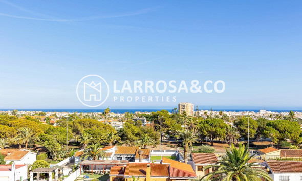 Penthouse  - Herverkoop - Torrevieja - Nueva Torrevieja