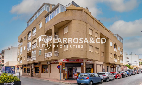 Penthouse  - Herverkoop - Torrevieja - torrevieja