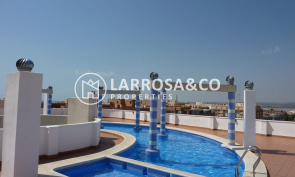 Penthouse  - Herverkoop - Torrevieja - torrevieja
