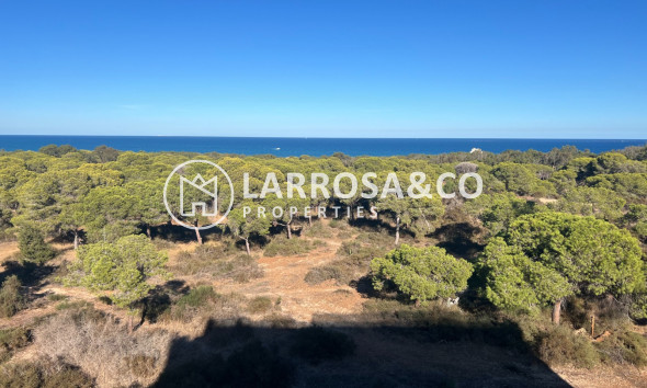 Penthouse  - New build - Guardamar del Segura - Centro