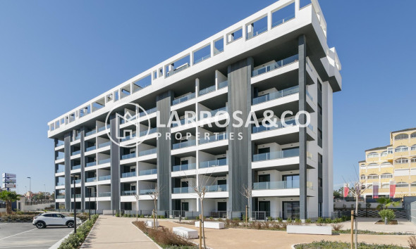 Penthouse  - New build - Torrevieja - Torreblanca
