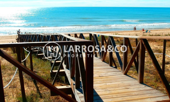 Penthouse  - Resale - Guardamar del Segura - Costa Blanca