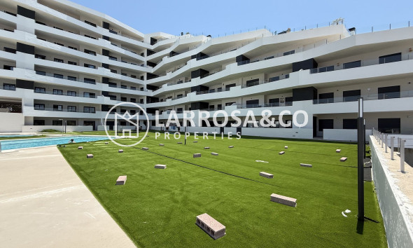 Penthouse  - Resale - San Miguel de Salinas - Inland