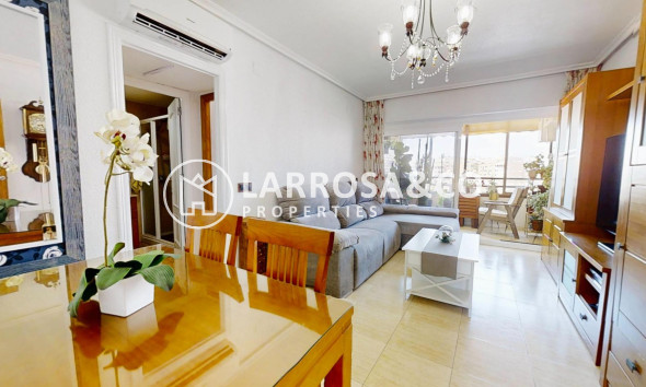 Penthouse  - Resale - Torrevieja - Estacion de autobuses