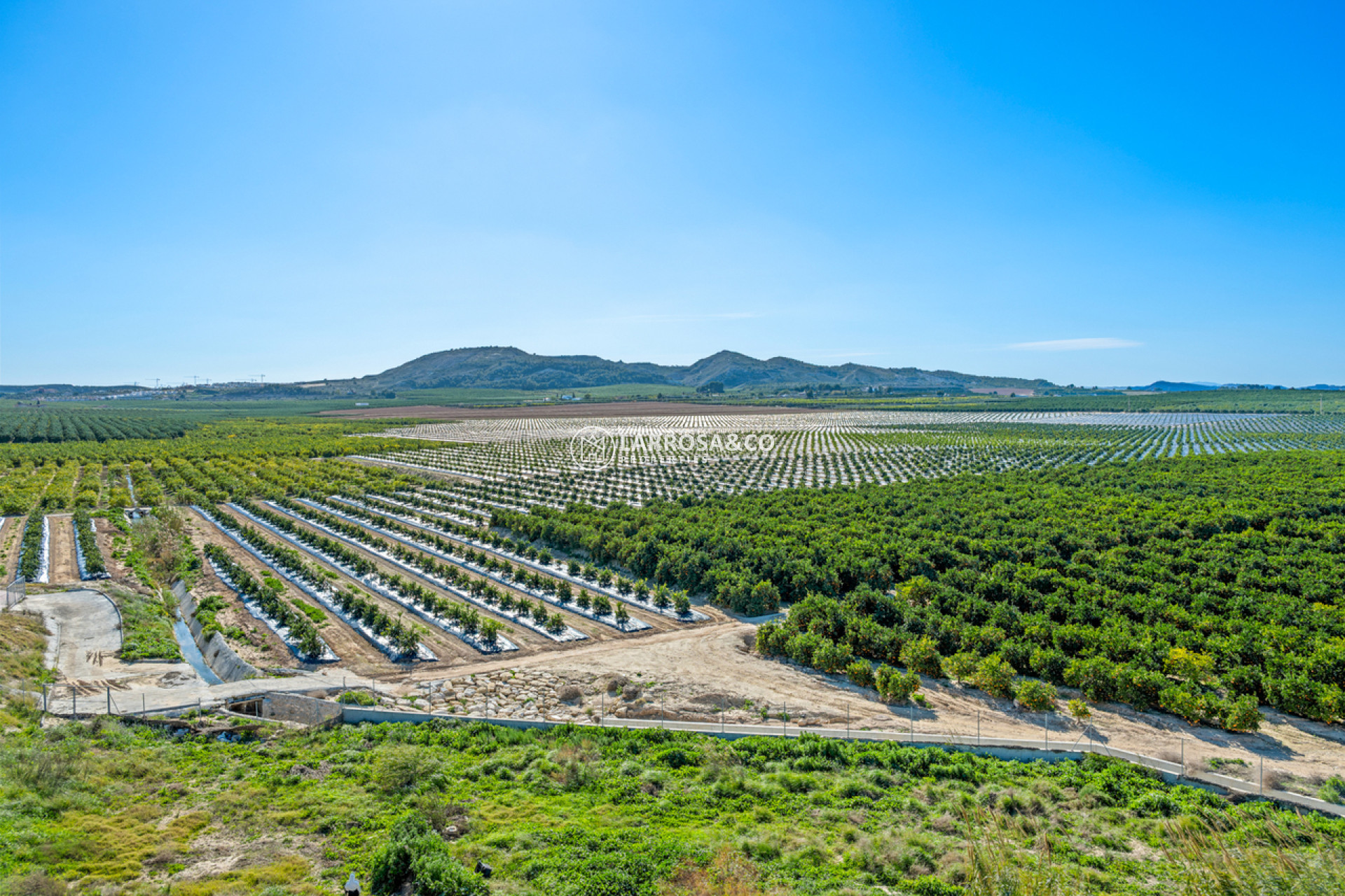 Resale - Apartment - Algorfa - Inland