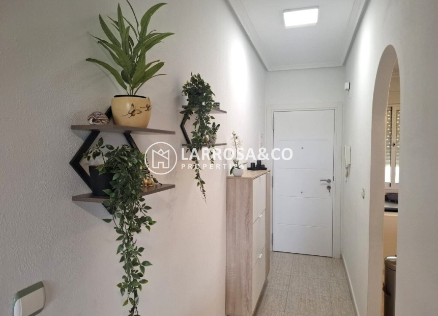 Resale - Apartment - Almoradí